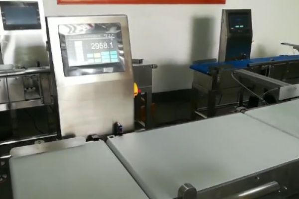 皮帶寬度500mm稱重機(jī)重量不符測(cè)試視頻